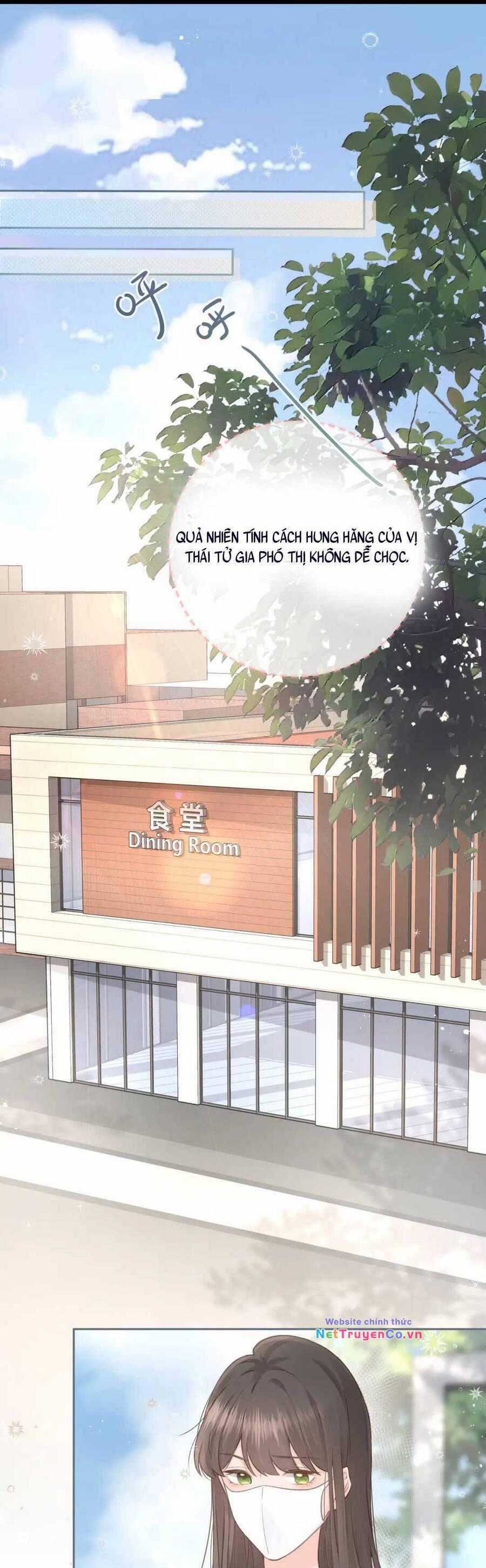 Tổng Tài Đuổi Vợ Lại Khóc Lóc Cầu Xin Vợ Quay Lại Chapter 4 trang 2