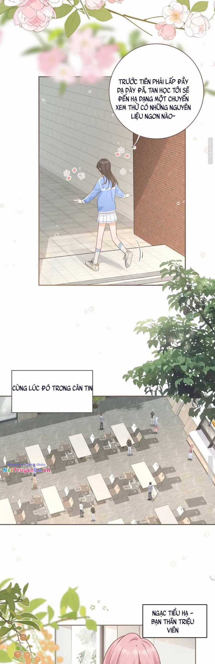 Tổng Tài Đuổi Vợ Lại Khóc Lóc Cầu Xin Vợ Quay Lại Chapter 4 trang 8