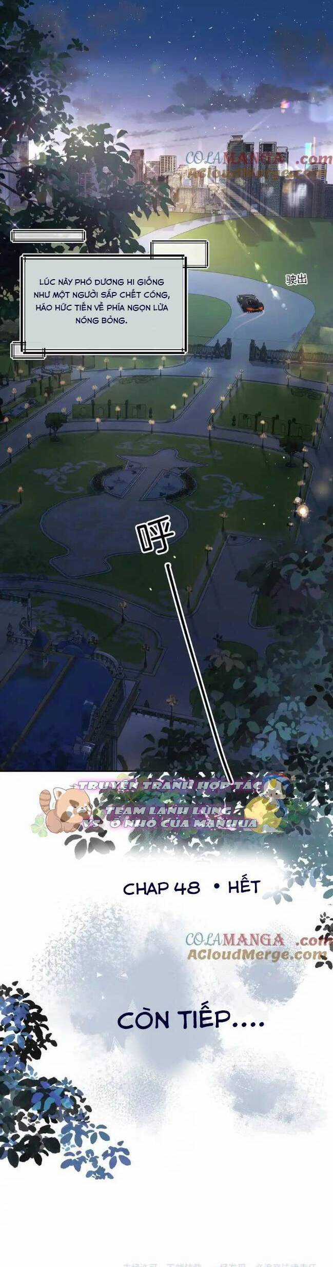 Tổng Tài Đuổi Vợ Lại Khóc Lóc Cầu Xin Vợ Quay Lại Chapter 49 trang 14