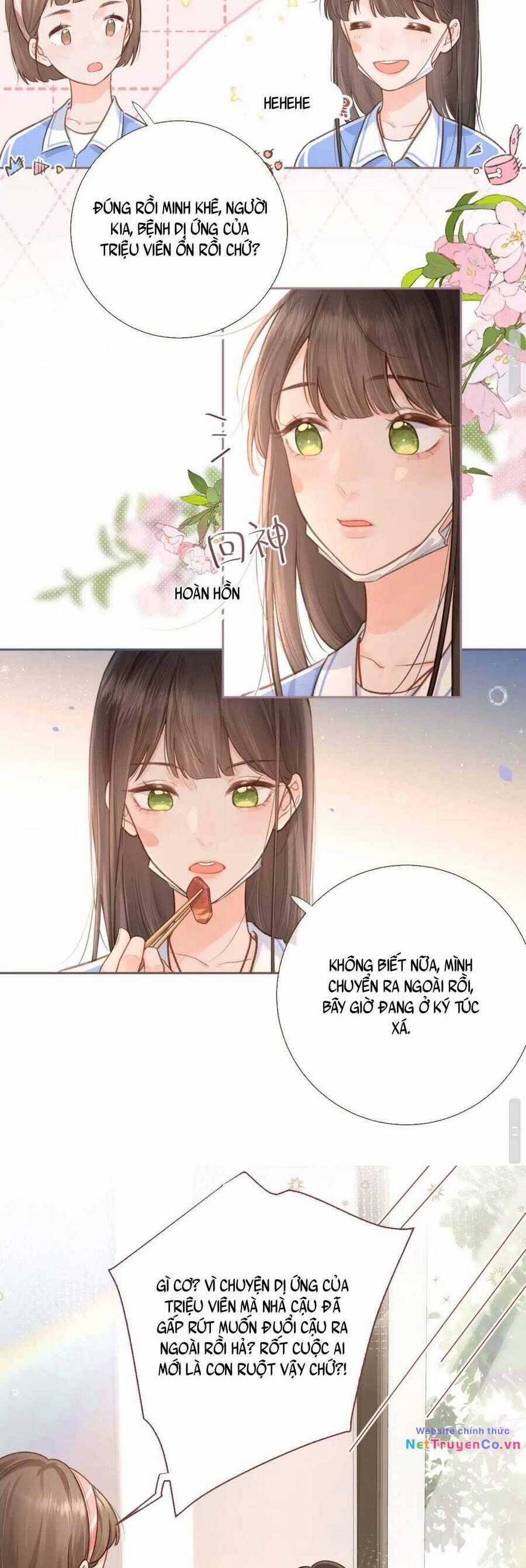 Tổng Tài Đuổi Vợ Lại Khóc Lóc Cầu Xin Vợ Quay Lại Chapter 5 trang 11