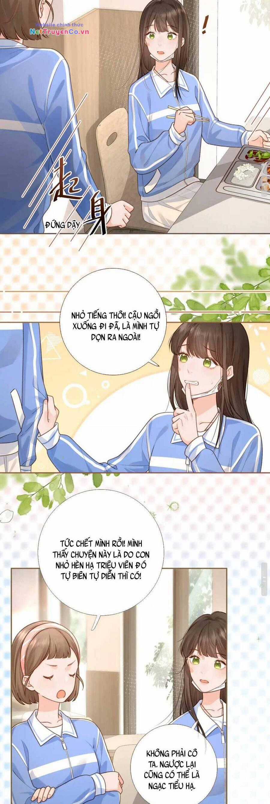 Tổng Tài Đuổi Vợ Lại Khóc Lóc Cầu Xin Vợ Quay Lại Chapter 5 trang 12