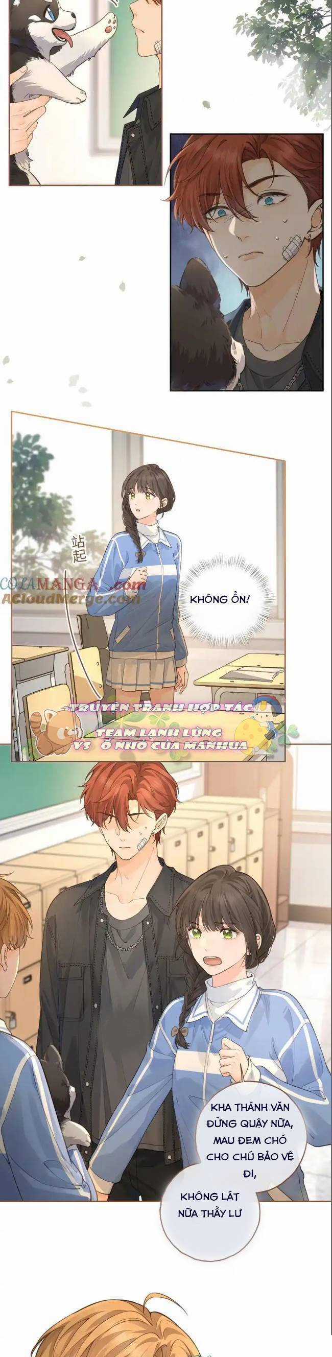 Tổng Tài Đuổi Vợ Lại Khóc Lóc Cầu Xin Vợ Quay Lại Chapter 50 trang 10