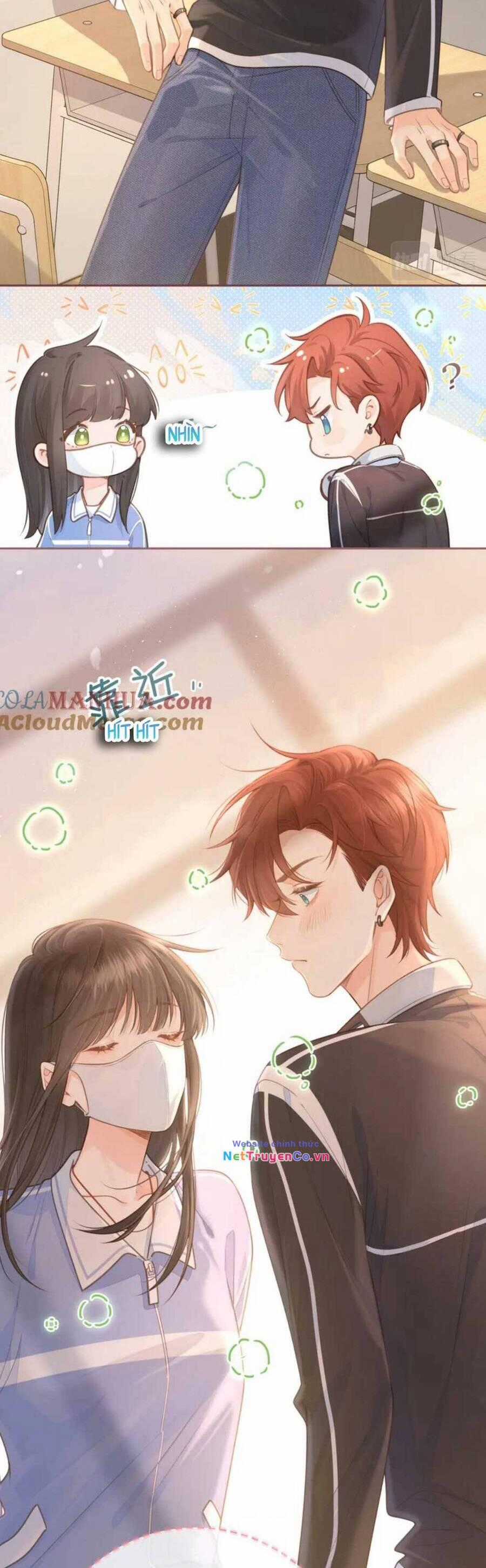 Tổng Tài Đuổi Vợ Lại Khóc Lóc Cầu Xin Vợ Quay Lại Chapter 6 trang 4