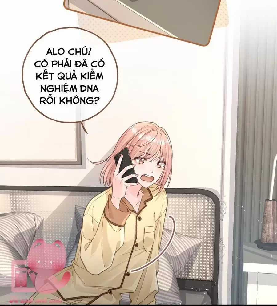 Tổng Tài Đuổi Vợ Lại Khóc Lóc Cầu Xin Vợ Quay Lại Chapter 67 trang 3