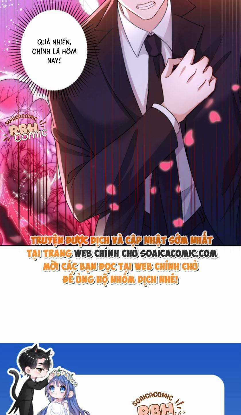 Tổng Tài Huyết Tộc Cực Sủng Cô Vợ Mỹ Nhân Ngư Chapter 11 trang 25