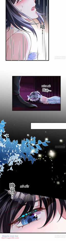 Tổng Tài Huyết Tộc Cực Sủng Cô Vợ Mỹ Nhân Ngư Chapter 168 trang 21