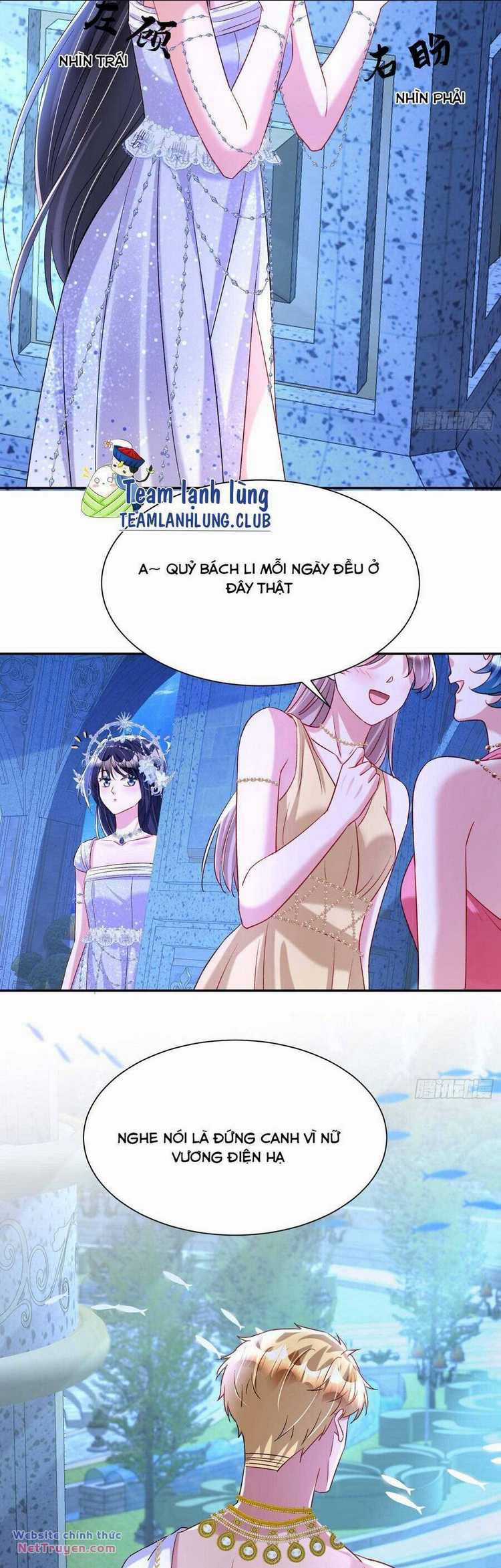 Tổng Tài Huyết Tộc Cực Sủng Cô Vợ Mỹ Nhân Ngư Chapter 175 trang 13