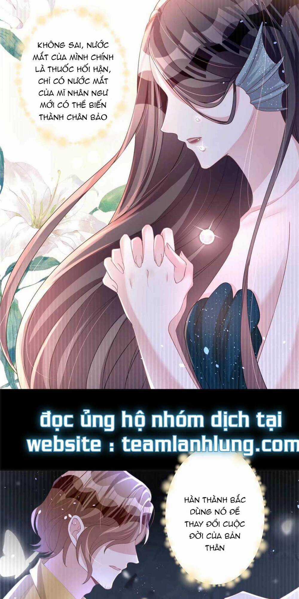 Tổng Tài Huyết Tộc Cực Sủng Cô Vợ Mỹ Nhân Ngư Chapter 19 trang 7