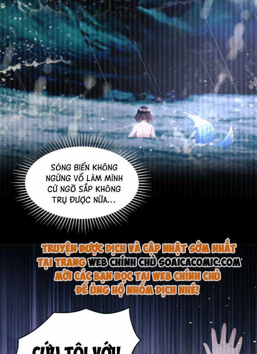 Tổng Tài Huyết Tộc Cực Sủng Cô Vợ Mỹ Nhân Ngư Chapter 31 trang 11