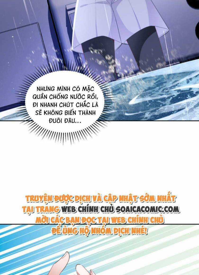 Tổng Tài Huyết Tộc Cực Sủng Cô Vợ Mỹ Nhân Ngư Chapter 32 trang 8