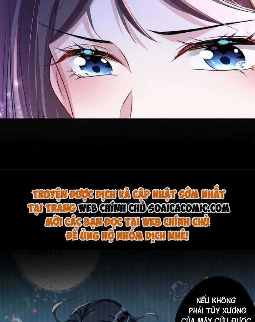 Tổng Tài Huyết Tộc Cực Sủng Cô Vợ Mỹ Nhân Ngư Chapter 38 trang 25