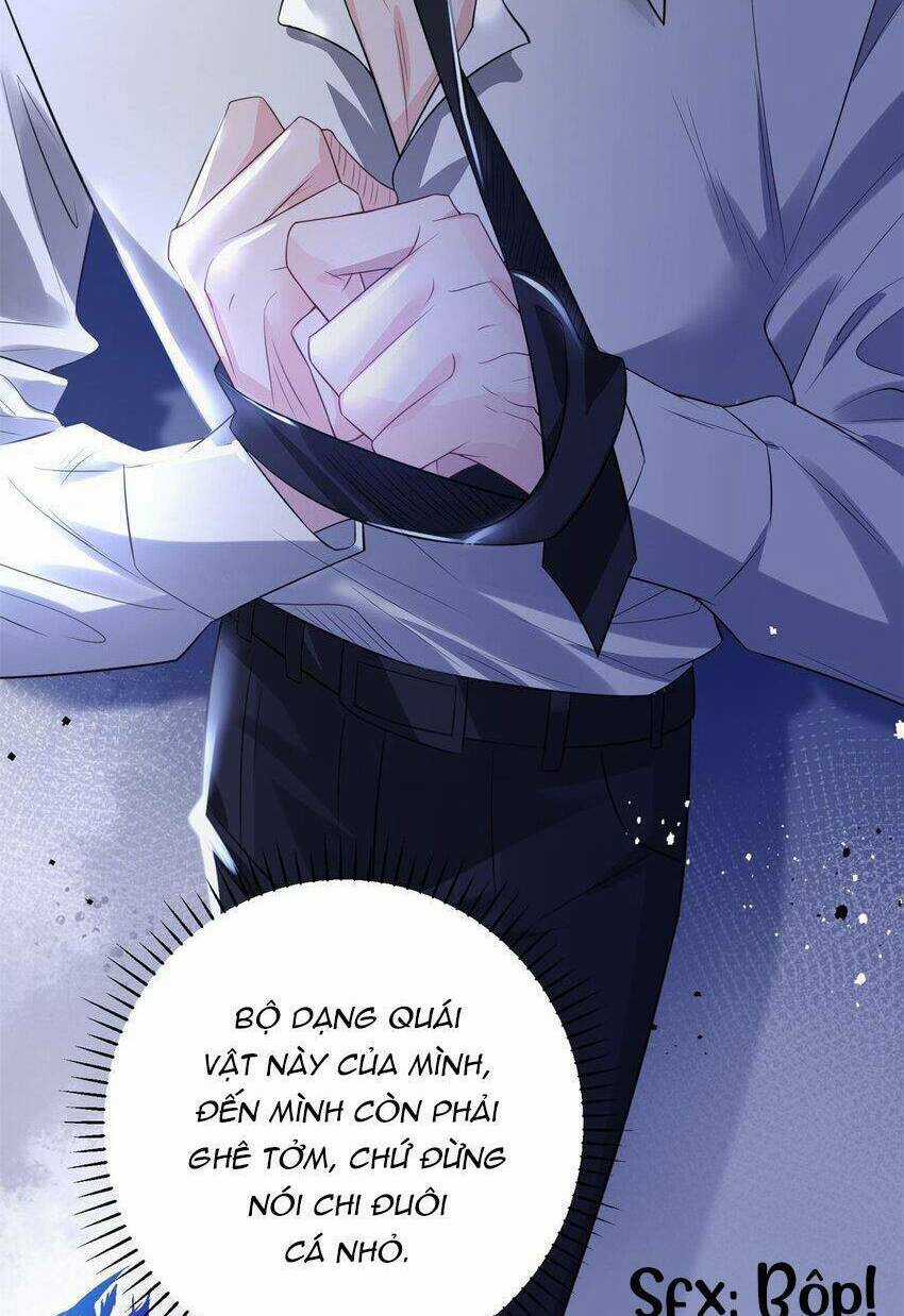 Tổng Tài Huyết Tộc Cực Sủng Cô Vợ Mỹ Nhân Ngư Chapter 41 trang 1