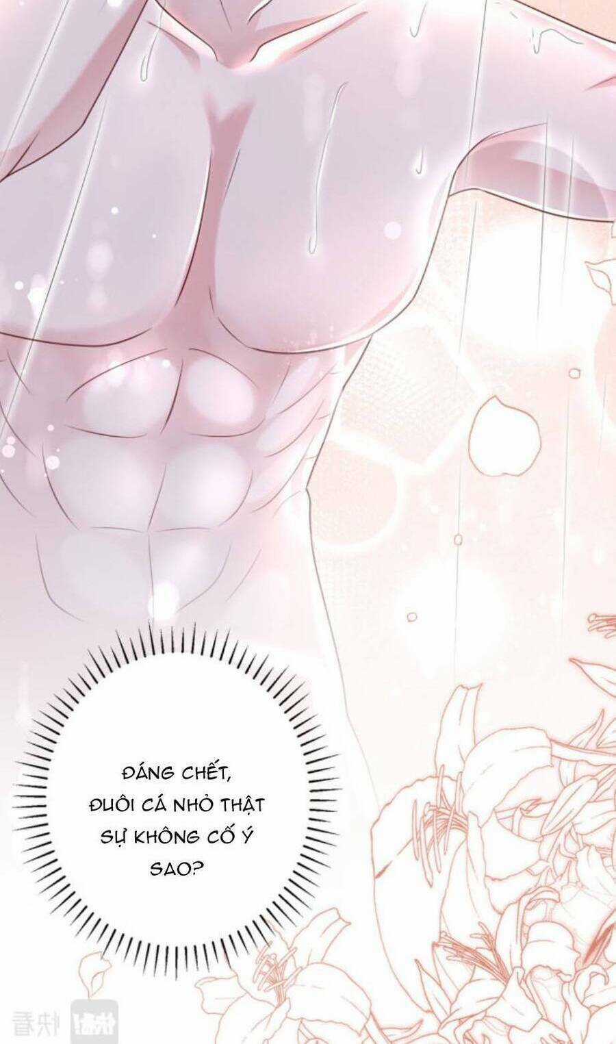 Tổng Tài Huyết Tộc Cực Sủng Cô Vợ Mỹ Nhân Ngư Chapter 53 trang 1