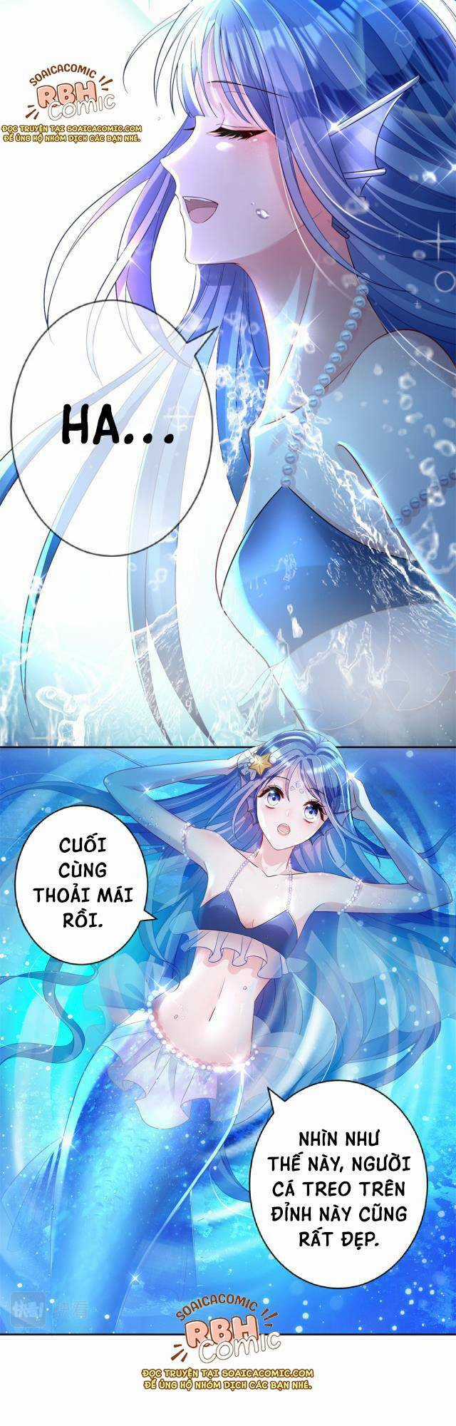 Tổng Tài Huyết Tộc Cực Sủng Cô Vợ Mỹ Nhân Ngư Chapter 6 trang 14