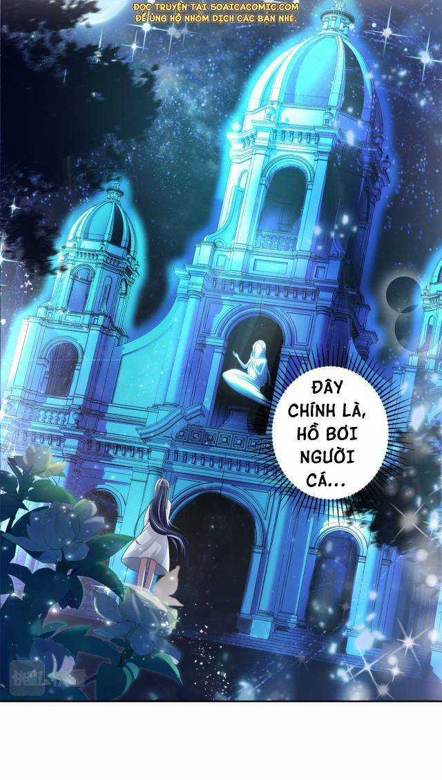 Tổng Tài Huyết Tộc Cực Sủng Cô Vợ Mỹ Nhân Ngư Chapter 6 trang 8