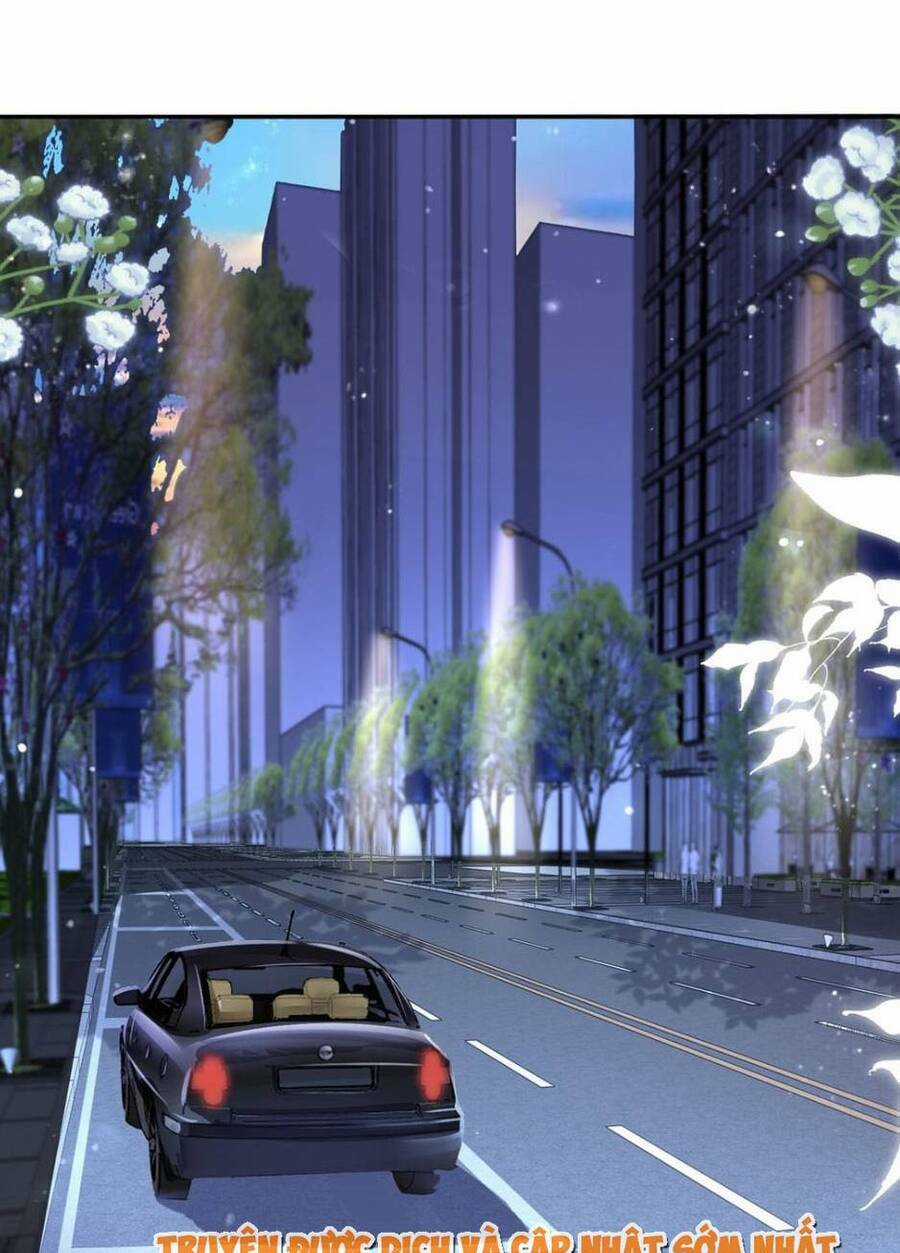 Tổng Tài Huyết Tộc Cực Sủng Cô Vợ Mỹ Nhân Ngư Chapter 69 trang 0