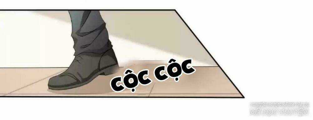 Tổng Tài Lãnh Khốc Độc Sủng Chapter 1 trang 5