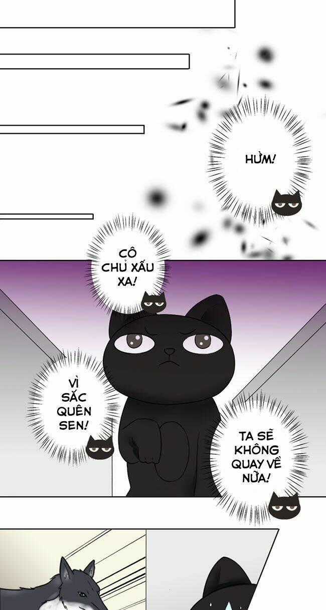Tổng Tài Ma Cà Rồng Tha Cho Tôi Chapter 23 trang 1