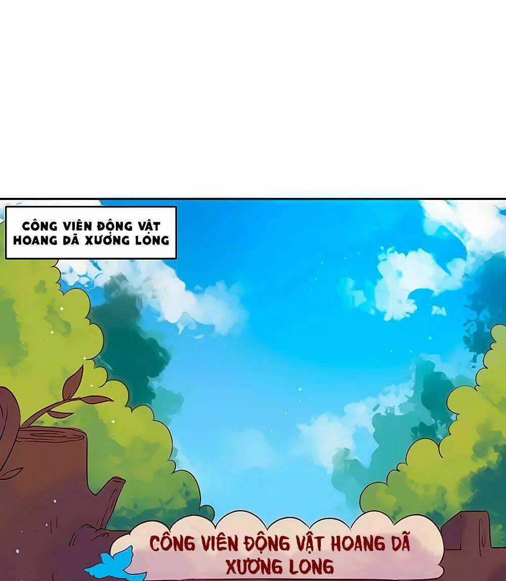 Tổng Tài, Như Vậy Nhanh Quá Chapter 1 trang 3