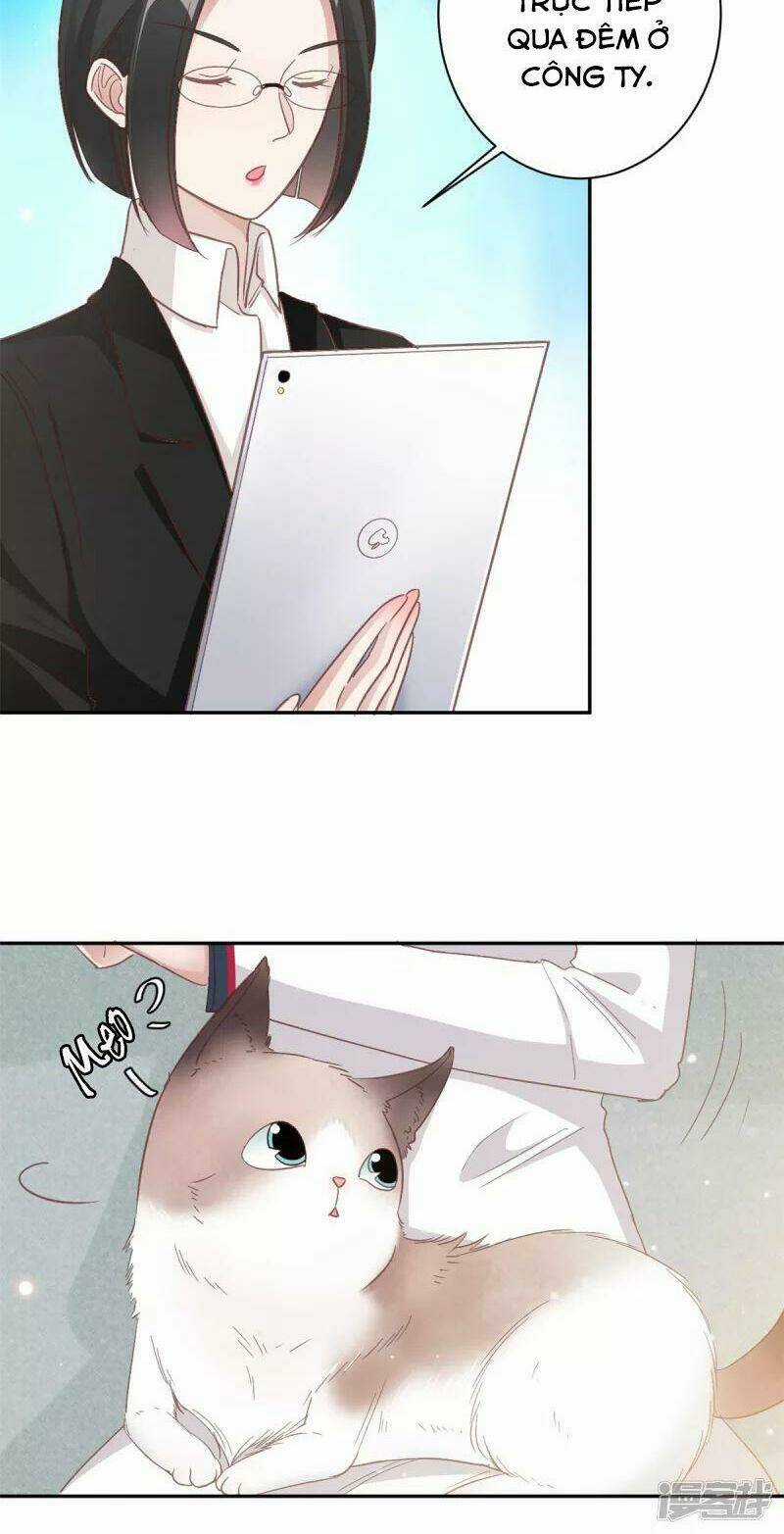 Tổng Tài, Tránh Xa Tôi Ra Chapter 11 trang 18