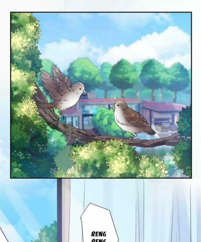 Tổng Tài, Tránh Xa Tôi Ra Chapter 35 trang 1