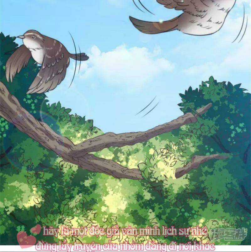 Tổng Tài, Tránh Xa Tôi Ra Chapter 35 trang 15