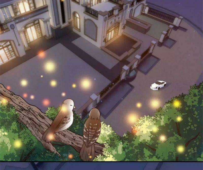 Tổng Tài, Tránh Xa Tôi Ra Chapter 38 trang 11