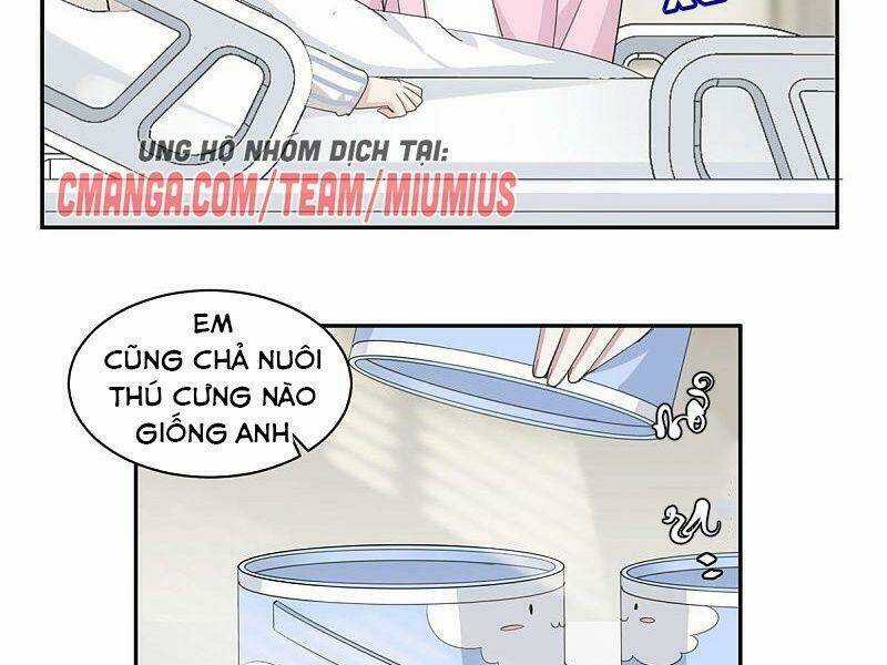 Tổng Tài, Tránh Xa Tôi Ra Chapter 69 trang 15