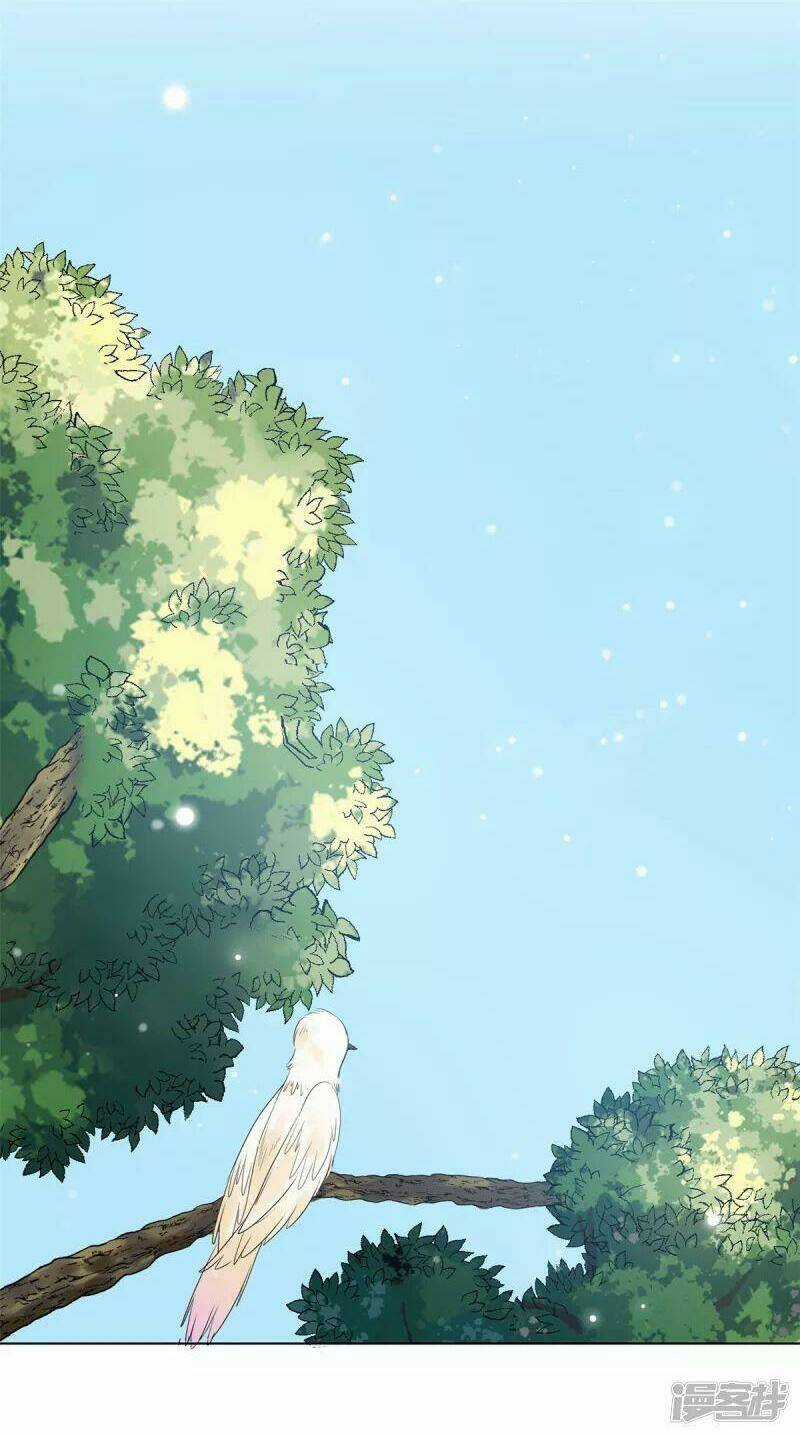 Tổng Tài, Tránh Xa Tôi Ra Chapter 8 trang 4