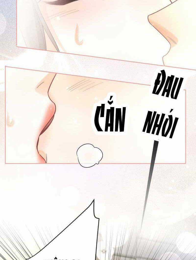 Tổng Tài Tỷ Phú Chỉ Sủng Cô Vợ Thế Thân Chapter 10 trang 40