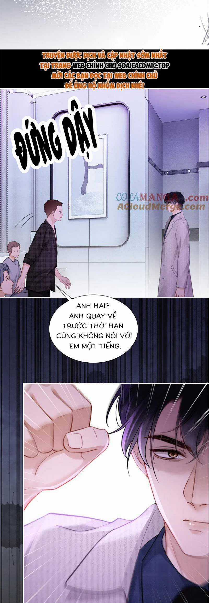 Tổng Tài Tỷ Phú Chỉ Sủng Cô Vợ Thế Thân Chapter 33 trang 12