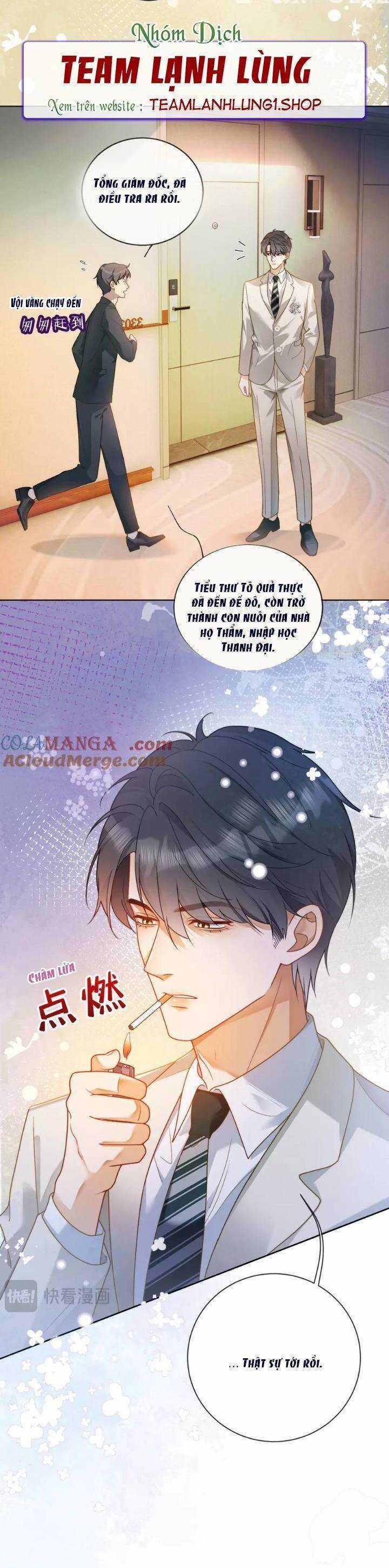 Tổng Tài Tỷ Phú Chỉ Sủng Cô Vợ Thế Thân Chapter 74 trang 11