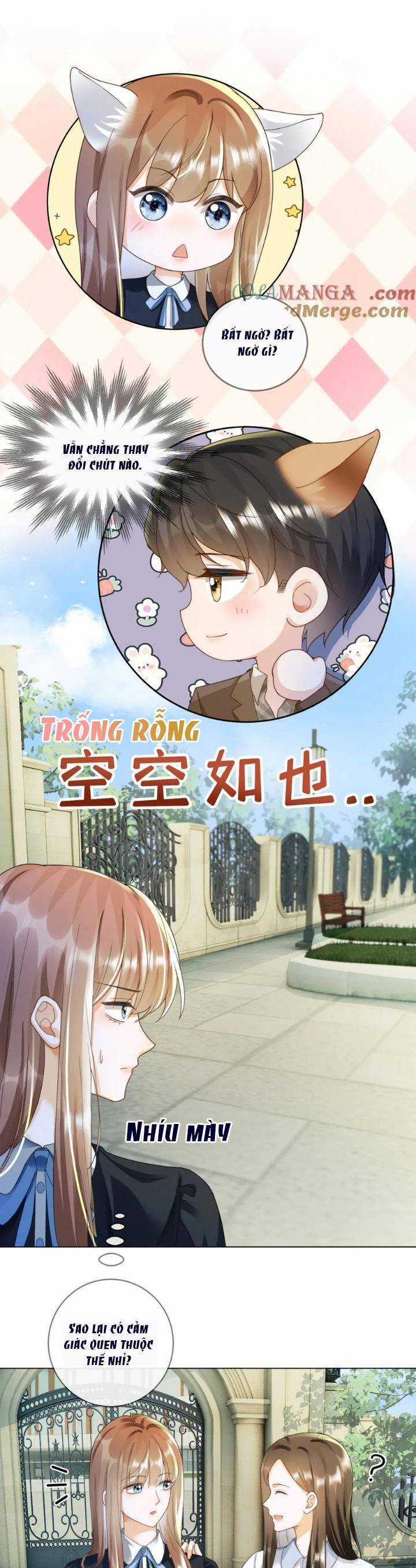 Tổng Tài Tỷ Phú Chỉ Sủng Cô Vợ Thế Thân Chapter 74 trang 16