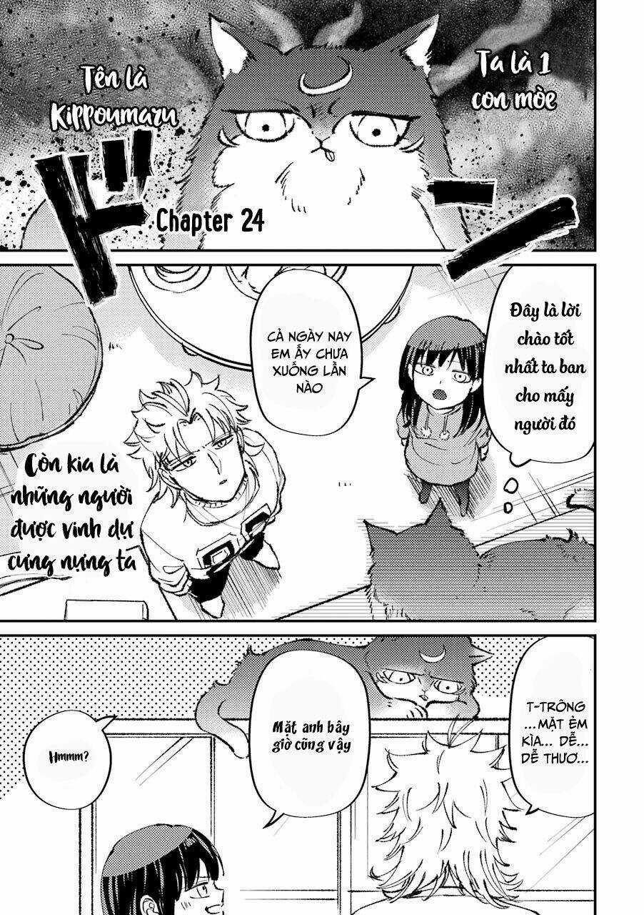 Toorigakari Ni One Point Advice Shiteiku Type No Yankee Chapter 24 trang 2