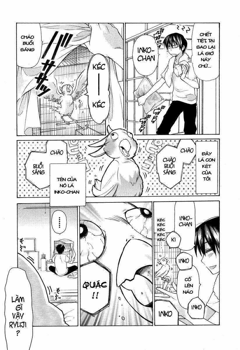 Toradora! Chapter 1 trang 5