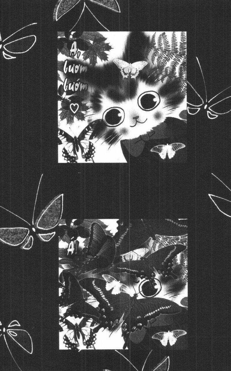 Toraji Phiêu Lưu Ký Chapter 5 trang 187