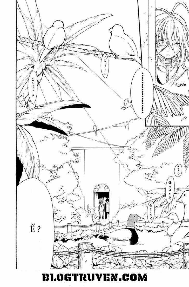 Torikago No Tsugai Chapter 11 trang 25