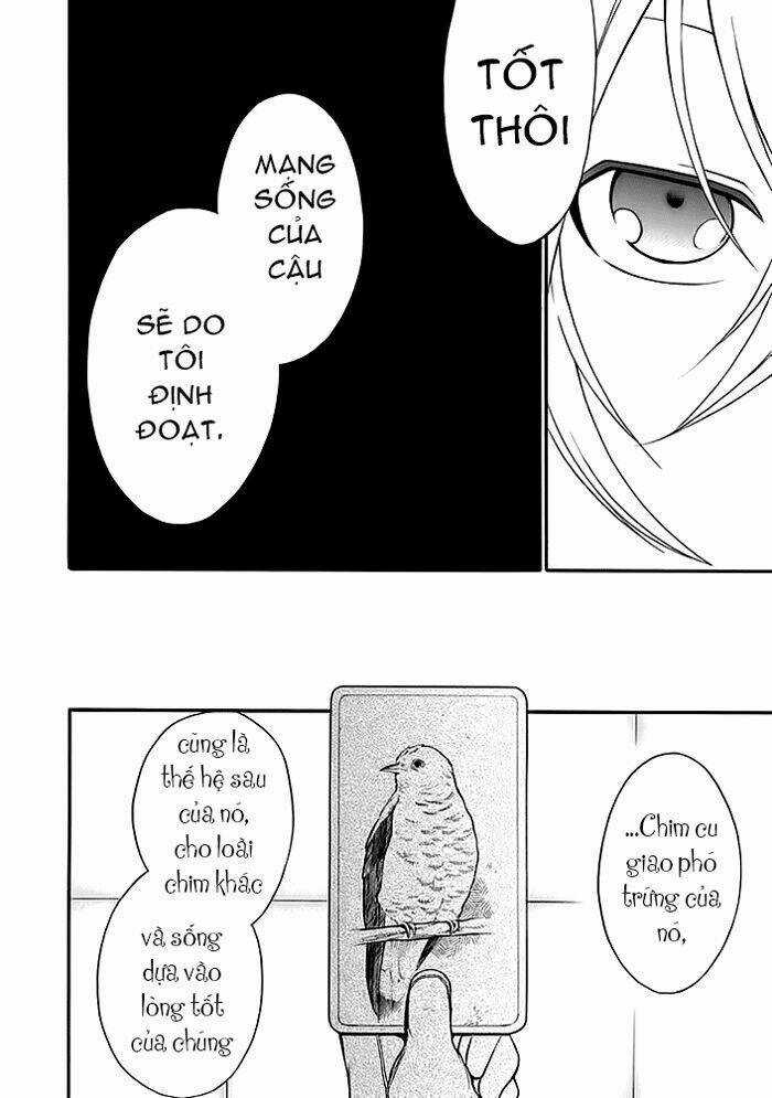 Torikago No Tsugai Chapter 5 trang 41