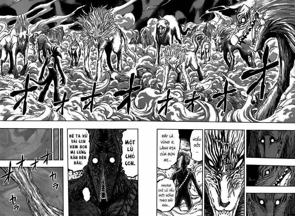 Toriko - Thợ Săn Ẩm Thực Chapter 379 trang 13