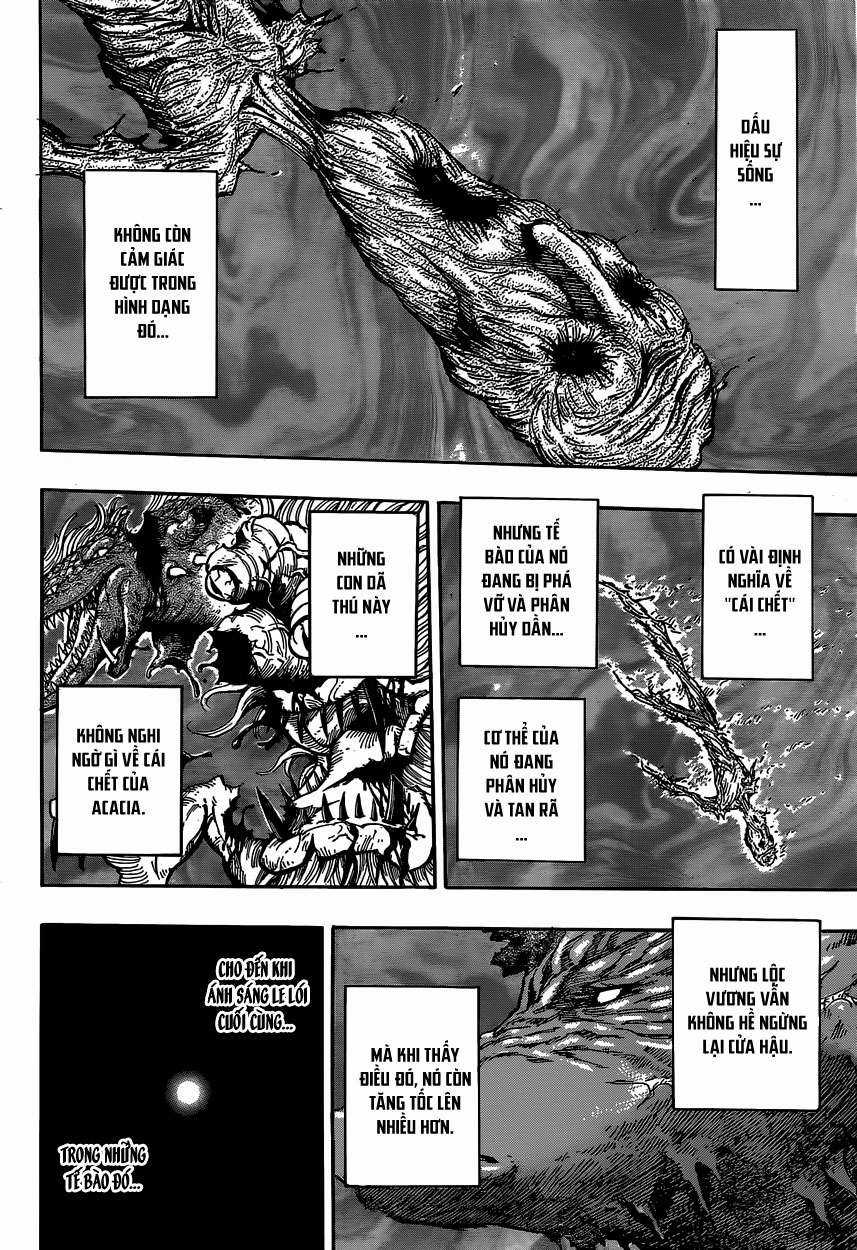 Toriko - Thợ Săn Ẩm Thực Chapter 379 trang 14