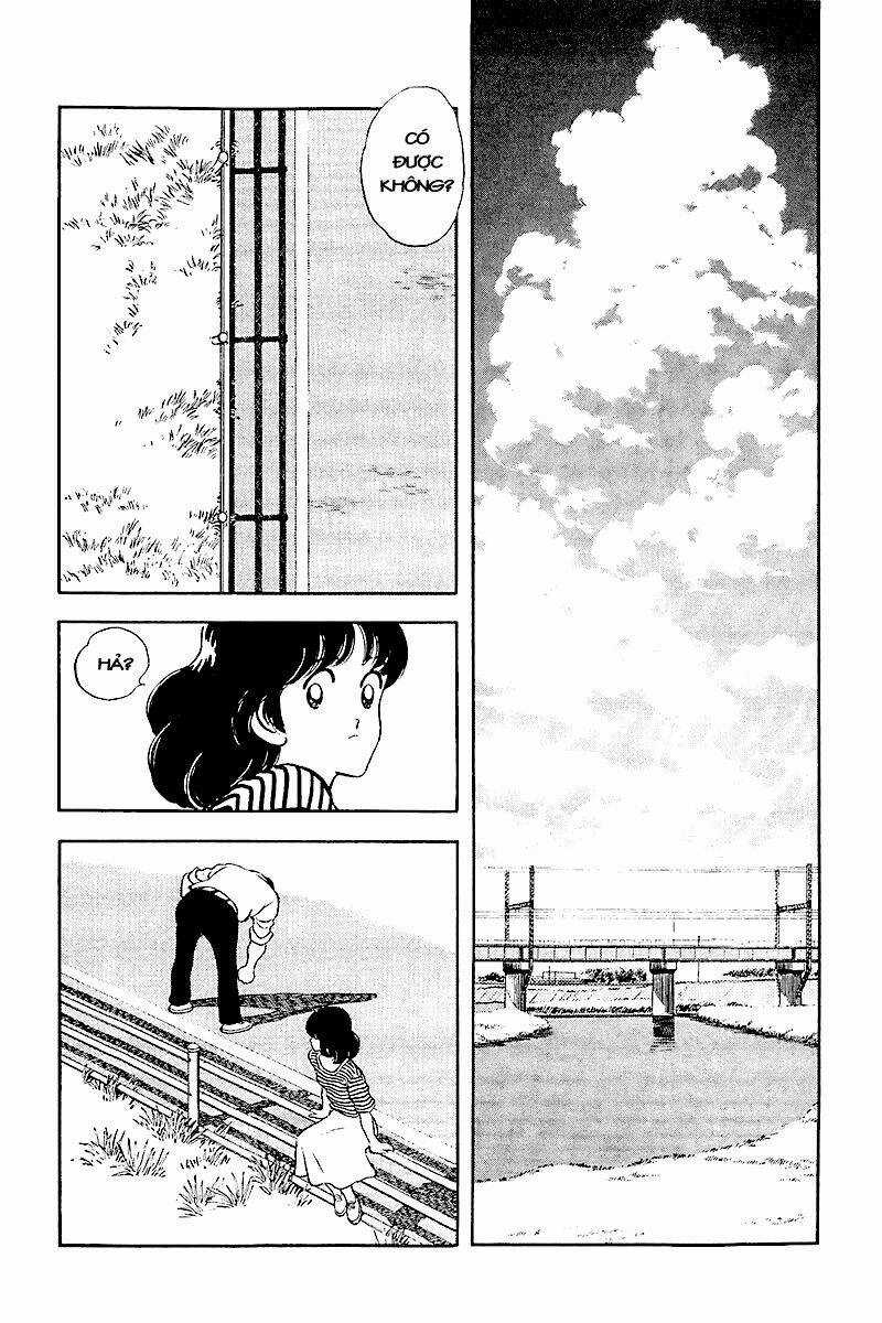 Touch Chapter 243 trang 2