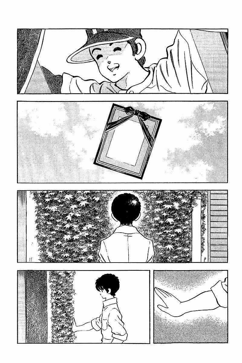 Touch Chapter 249 trang 5