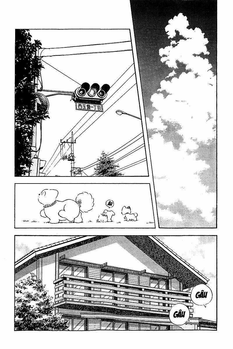 Touch Chapter 252 trang 5