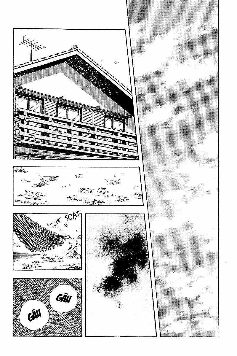 Touch Chapter 257 trang 2