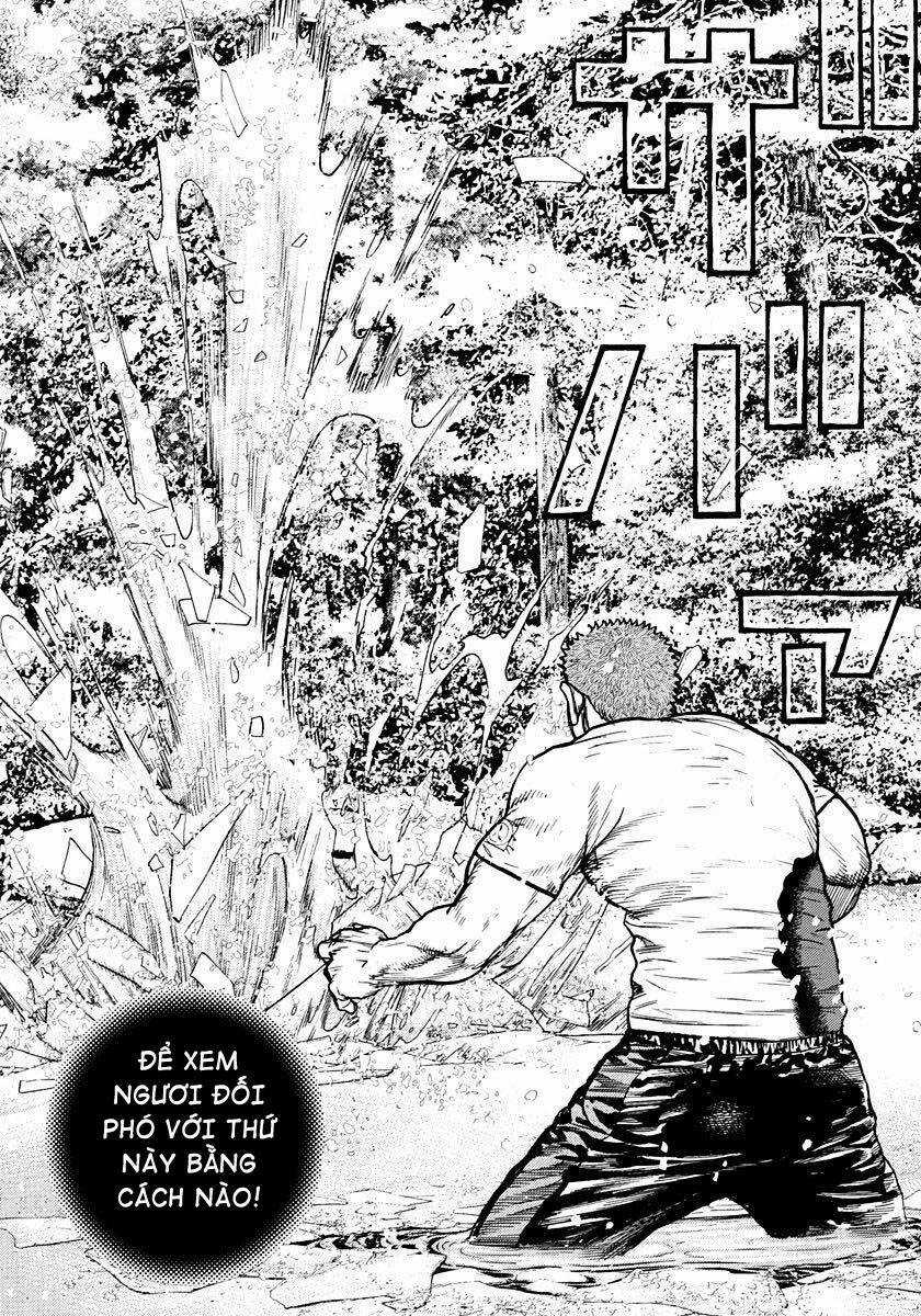 Tough - Miyazawa Kiichi Chapter 416 trang 13