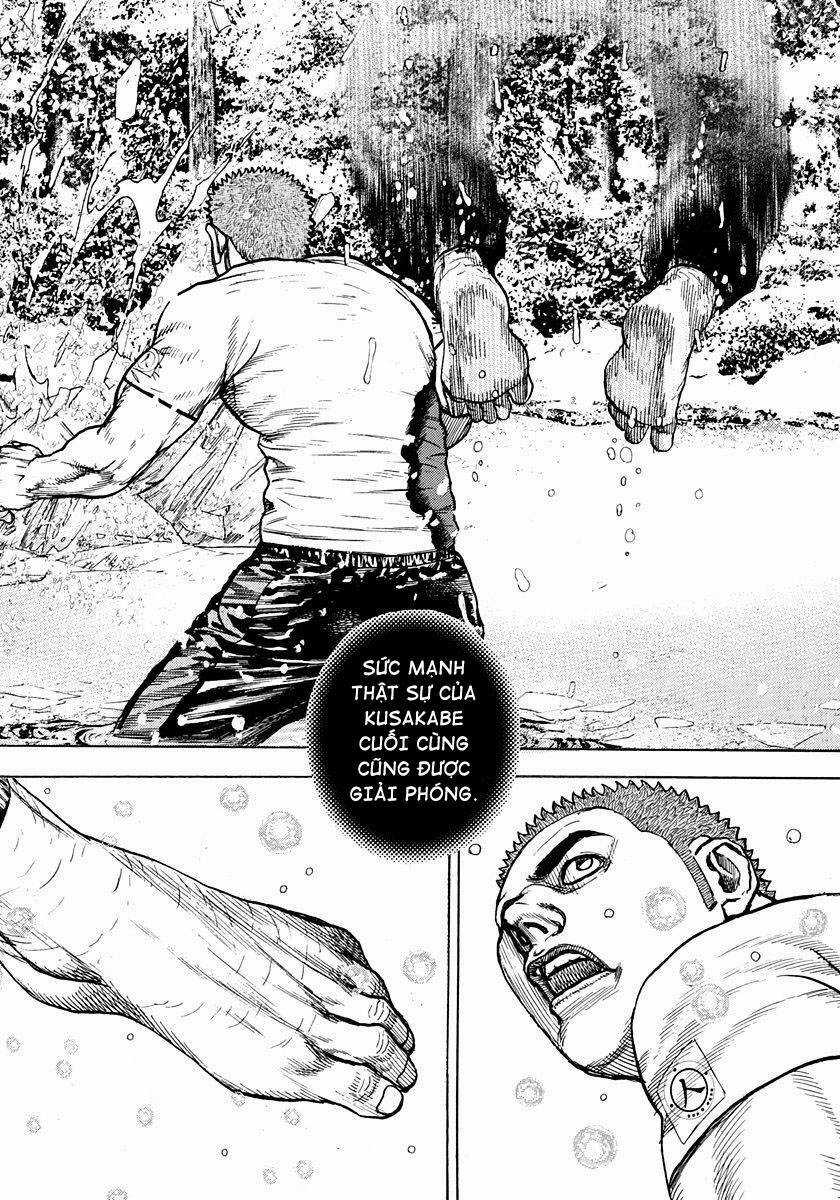 Tough - Miyazawa Kiichi Chapter 416 trang 14