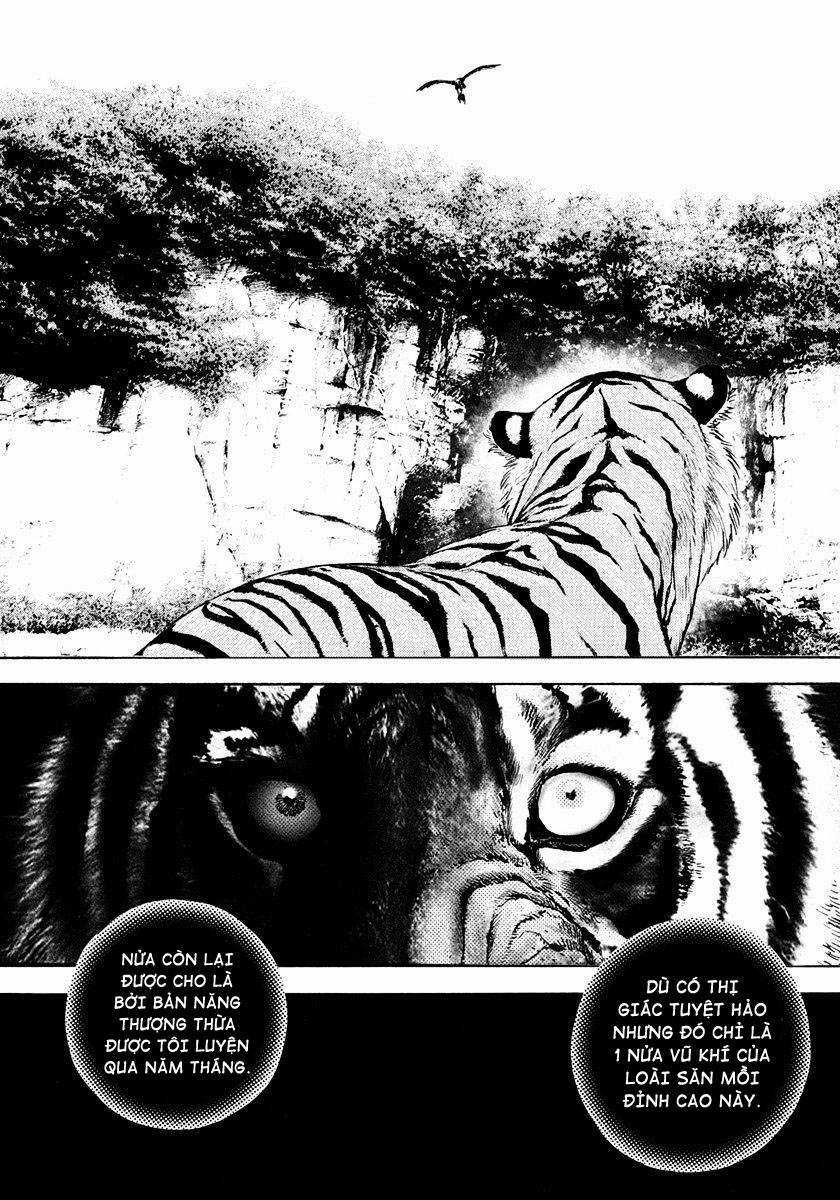 Tough - Miyazawa Kiichi Chapter 426 trang 2