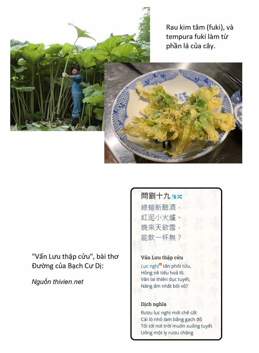 Touhou - Koishi Sành Ăn Chapter 4 trang 38