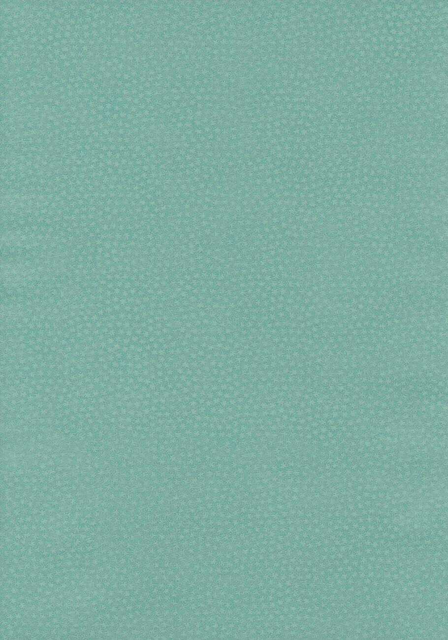 Touhou - Soga No Tojiko Wa Koranai Ki No Shou Chapter 0 trang 2