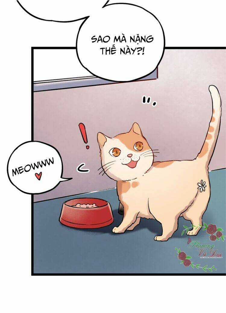 Trạch Thượng Tịch Mịch Huỳnh Hỏa Chapter 3 trang 88